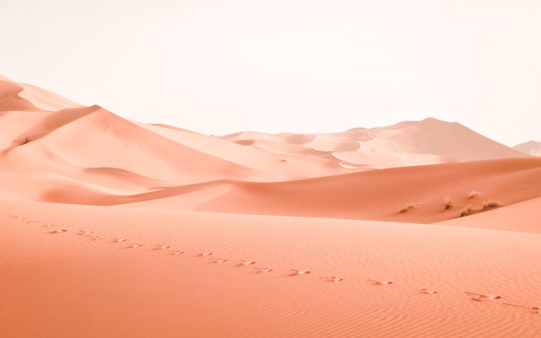 Captação – Quem te fala são as Águas, a Terra e o Ar